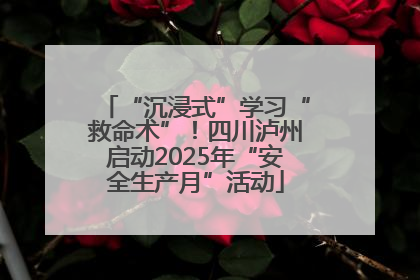 “沉浸式”学习“救命术”！四川泸州启动2025年“安全生产月”活动